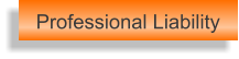 Professional Liability